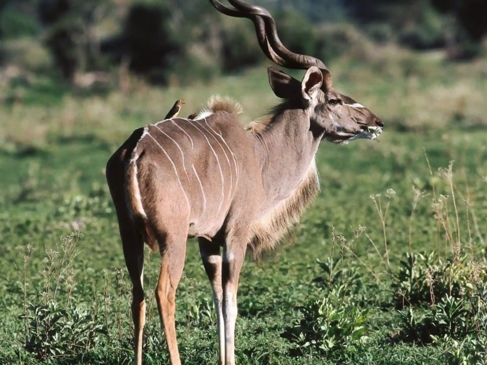 Senerita tours_5_11zon